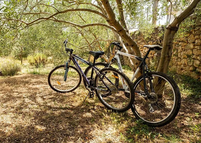 Marcela Dom wakacyjny *