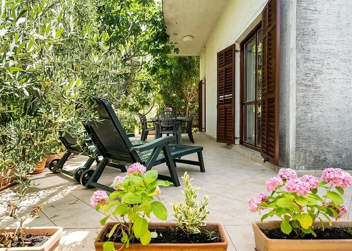 Marcela * Преко